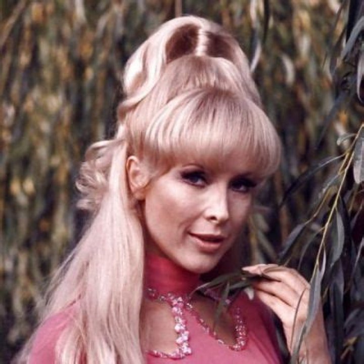 
Barbara Eden Became The Target Of A Death Hoax When Rumors Began Circulating About Her Death 