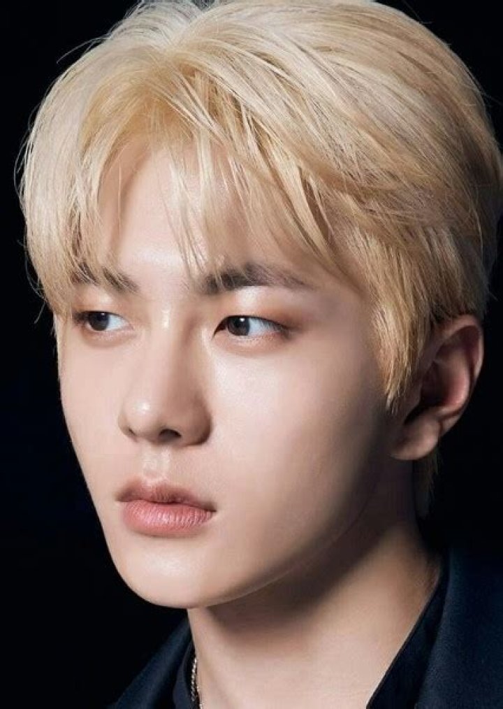 Choi Bo-min Height, Weight, Net Worth, Age, Birthday, Wikipedia, Who, Nationality, Biography