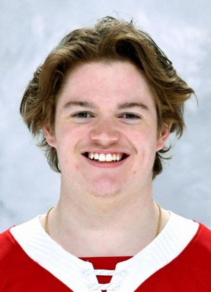 Cole Caufield Height, Weight, Net Worth, Age, Birthday, Wikipedia, Who, Nationality, Biography