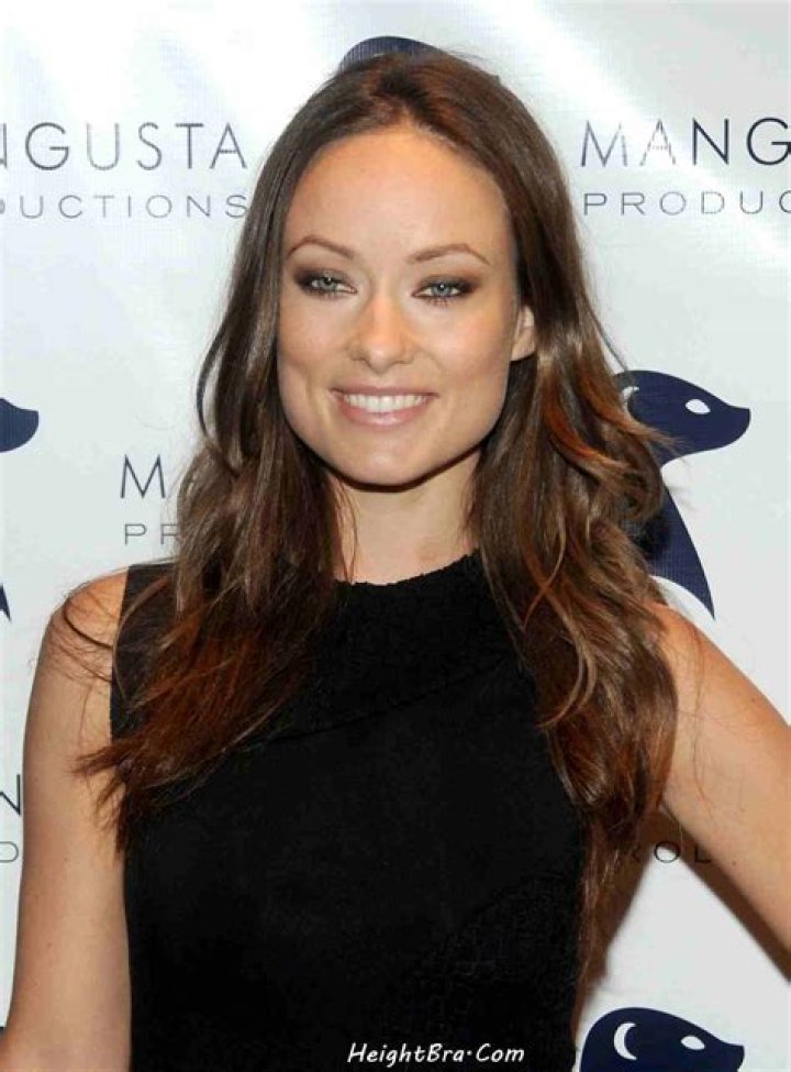Olivia Wilde Height, Weight, Net Worth, Age, Birthday, Wikipedia, Who, Nationality, Biography