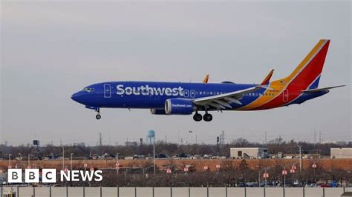 
Southwest Airlines flight made emergency landing in Cuba after striking a bird: Reports 