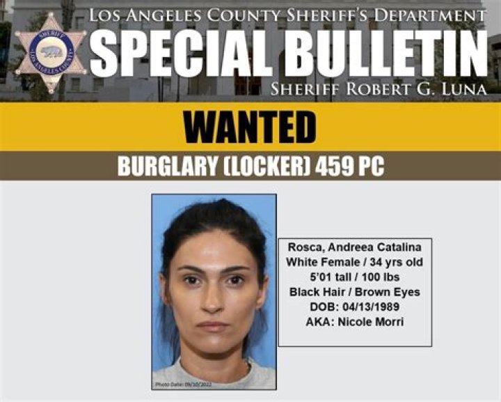 
Who is Andreea Catalina Rosca? Suspect identified in theft of Lily Collins’ belongings 