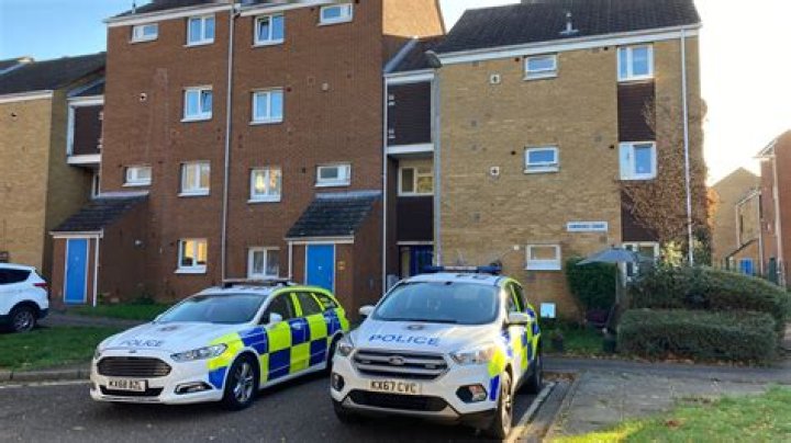 
Who Is Traci Andrews? 46 Year Old Woman Arrested For Burlington Arson Tuesday 